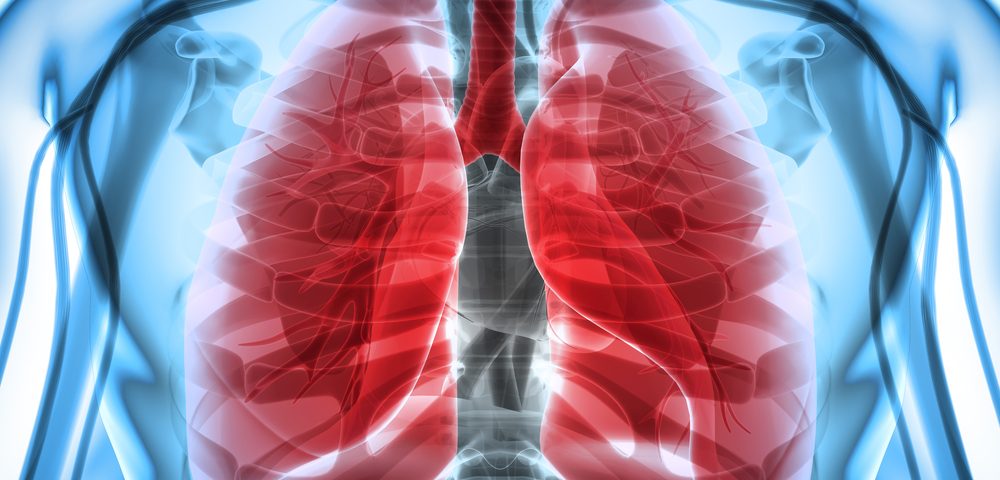 NYC Survivors of 9/11 Attack at Higher Risk for Chronic Heart, Lung Diseases, Study Shows NYC Survivors of 9/11 Attack at Higher Risk for Chronic Heart, Lung Diseases, Study Shows